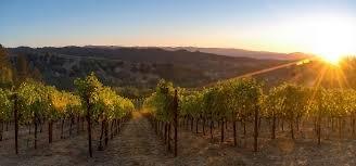 Napa Valley