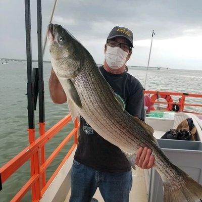 A beautiful 41 inch Striped Bass