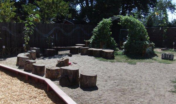 Humongous tree stumps for the kids to walk along or for a group to gather.