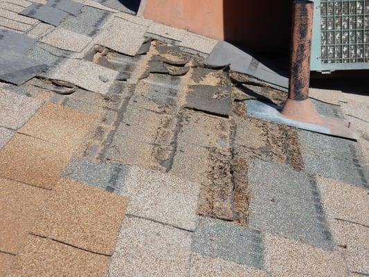 Damaged and deteriorated composition shingles