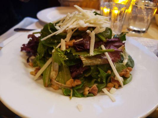 Mixed greens, apples, walnut and cheese with a balsamic dressing