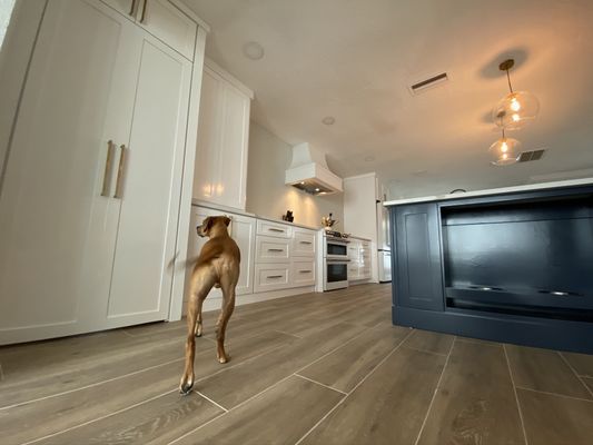 Custom Made Kitchen Cabinets, and the island with a special custom made application for the puppy :)