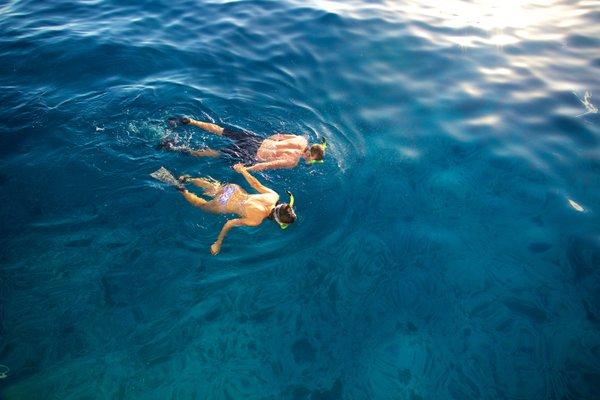 Molokini Crater has up to 200 feet of visibility, the clearest water in all of Hawaii.