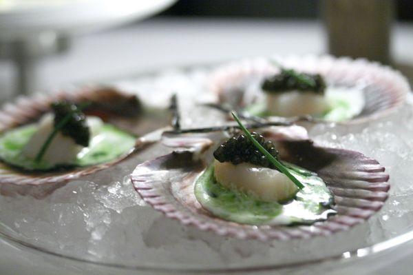 Bay Scallop Crudo