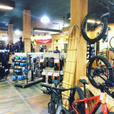 Bluedog Cycles has a full line of gear for all sorts of cycling adventures.