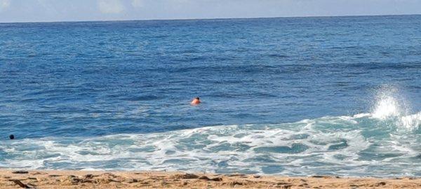 Heading out to the surf at Makaha Beach.  The wife can find me now with my bright orange jersey   Thanks again n HAPPY HOLIDAYS