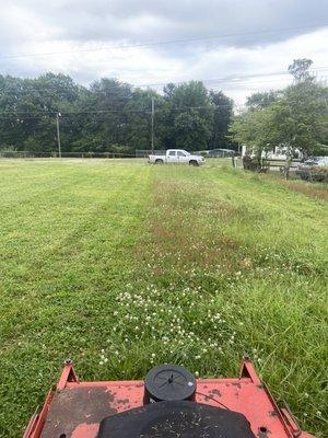 An overgrown yard getting taken care of.