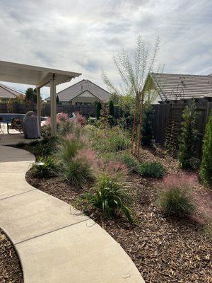 Lovely west side of our yard with and patio cover!