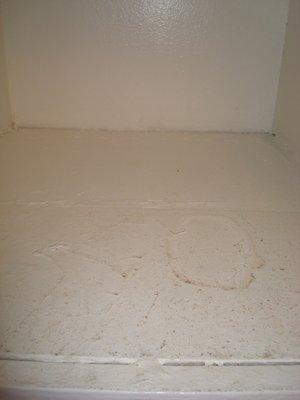 Stains not cleaned prior to move-in.