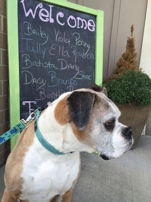 So cute that our furry four legged kid Batista gets a welcome to his new vet.