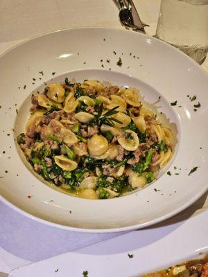 Orrechiette Sauce