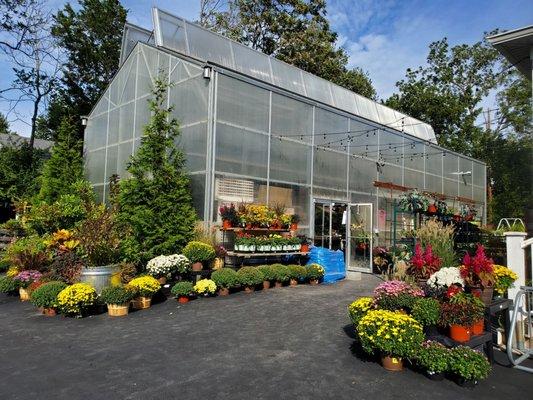 The greenhouse and a selection of fall foliage