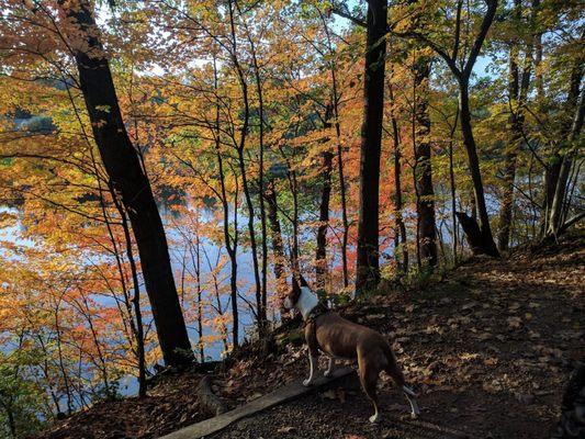 Fall hike in Madeleine Bertrand Park atop bluff overlooking St.Joe River. Totally worth a visit...many visits in fact.