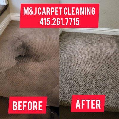 Carpet steam cleaning