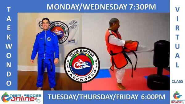 Join Us! 
Virtual Taekwondo Classes $19.99 per week!
www.teamraposa.com