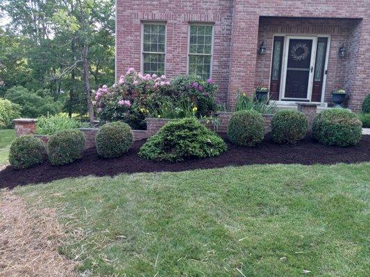 Landscaping and gardening