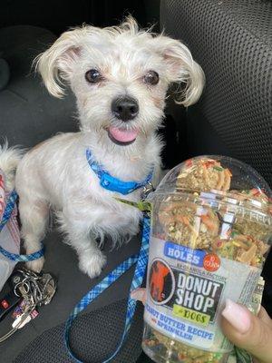 Luna and her donuts for dogs