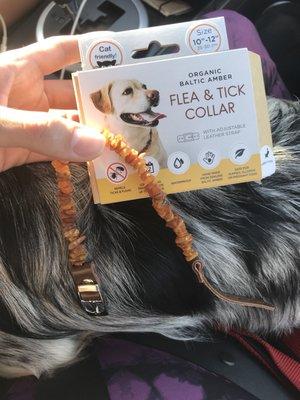 Classy holistic flea collar! Can't wait to try it out!