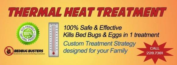 Organic Bed Bug Removal with Thermal Heat - service available in Norfolk & Virginia Beach, VA