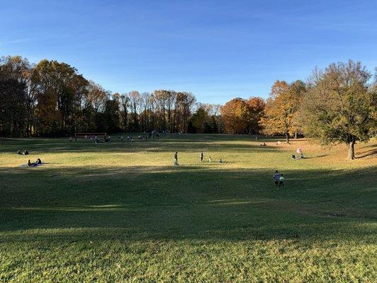 Volleyball field open area