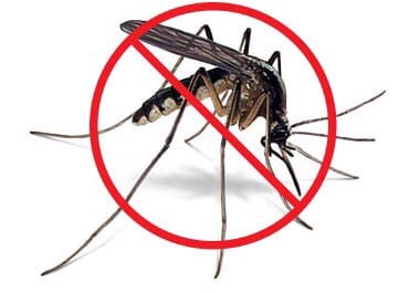 We offer organic mosquito spraying, all natural ingredients. Safe around children and pets, keep the mosquitos away and your family safe.