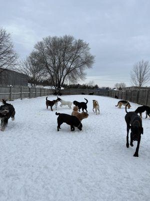 Large outdoor yard to continue group play!