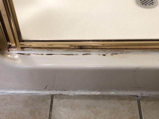 Mold under shower caulking and messy call job