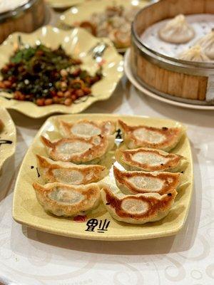 Shrimp & Pork Pan-Fried Dumplings  三鲜锅贴 handmade dumplings