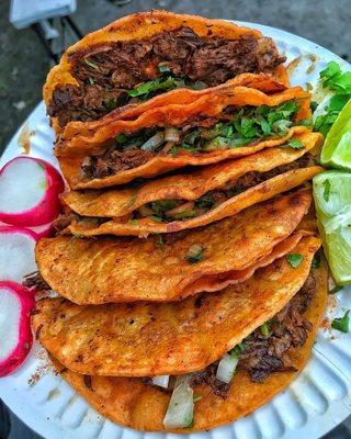 Tacos dorados de birria