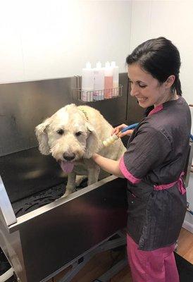 Kristen the Groomer loves pampering your pups!