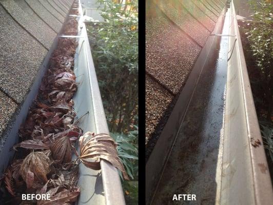 Gutter Cleaning.