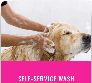 We provide you with everything you need. Shampoo, conditioner, towels, brushes and more. Clean your pet, make a mess, and we do the rest!