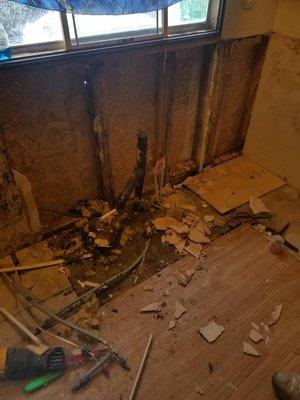 rotted kitchen walls and floors