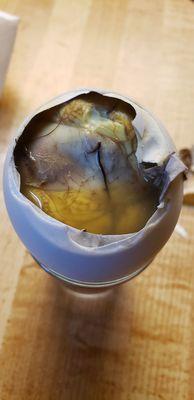 18 days Balut