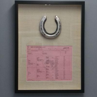 Horseshoe with certificate