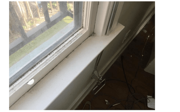 mold on the windowsill