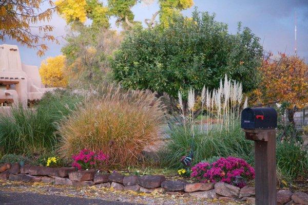 Our front yard with Granny Smith Apple behind the flower bed.