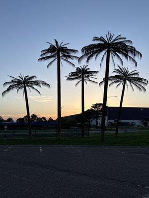 The Best Paradise Oasis Truck stop ever