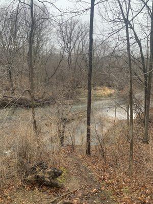 River next to one of the many trails