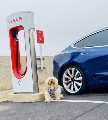 Amarillo Texas Text my super charging station. 8 stations total.