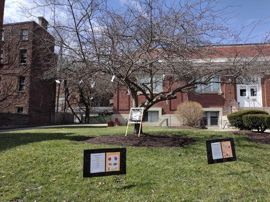 #dr.seussmonth tree #finishthequote #northsidepubliclibrary #northside #hamiltonavenue @yelpcincy