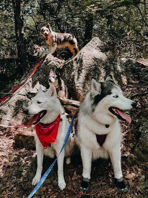 Photo ops on the trails