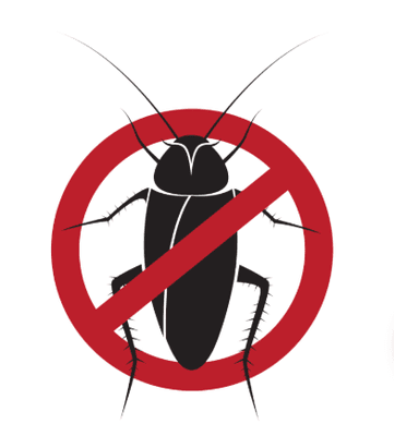 Best Pest Exterminators in Salem