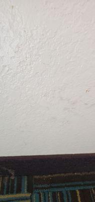 painted over black mold