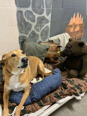 Chilling in his lodge suite