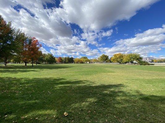 The big field of grass.