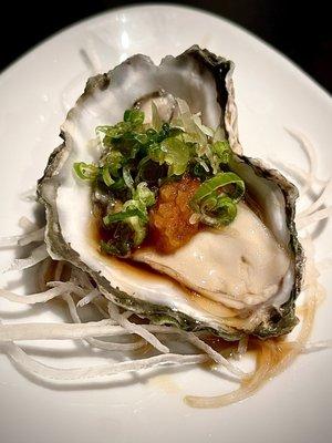 Oyster