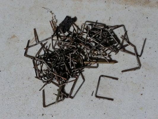 Sharp nails and staples Tugwell Roofing failed to remove from my backyard deck.