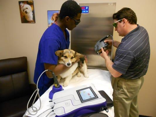 Laser Therapy for pain, inflammation and arthritis. One of the advantages in going to our hospital