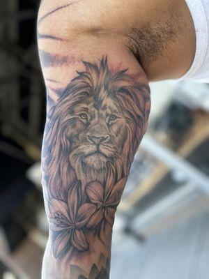 Lion by Brent Humphreys